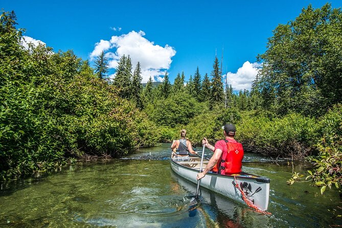 River of Golden Dreams Canoe Tour in Whistler - What to Expect