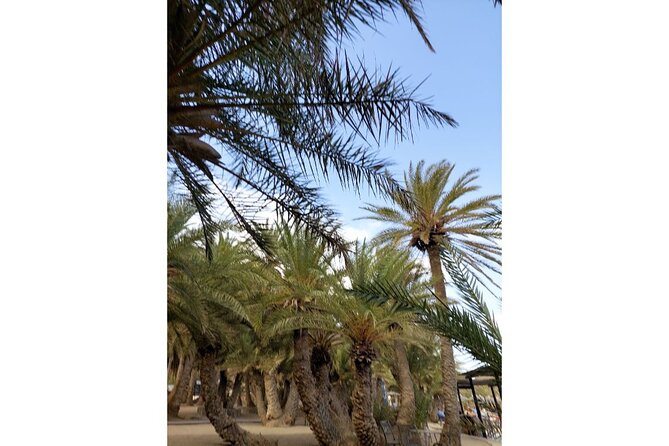 RIVIERA - Vai Palm Beach, Toplou Monastery - Accessibility and Suitability