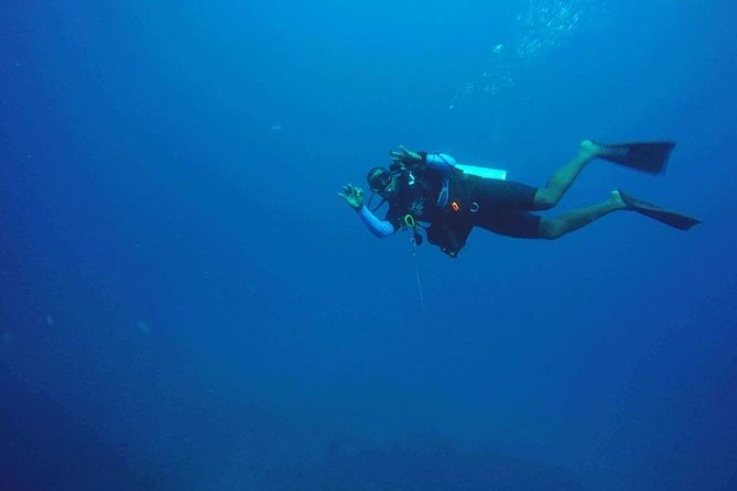 Roatan 1 Tank Shore Dive, Sloth & Monkey Park, City Tour Plus Transportation - Indulging in the Culinary Experiences