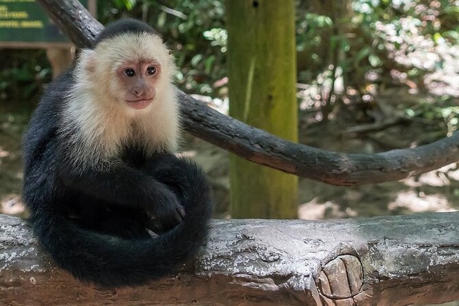 Roatan Mayan Jungle VIP Tour - Cancellation Policy