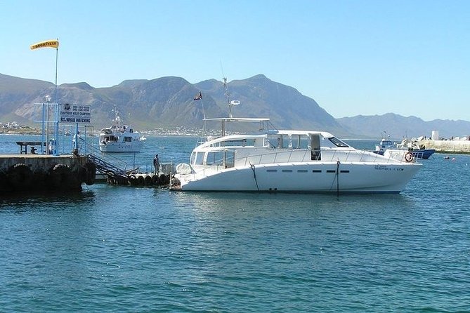 Robben Island Half Day Tour With Pre-Booked Entry Tickets. - Exploring the Islands History