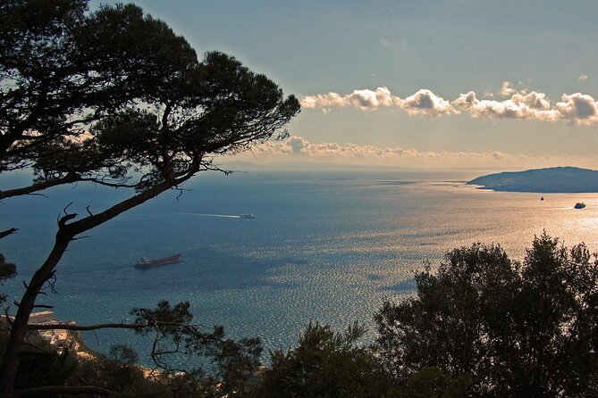 Rock Tour in Gibraltar by Bus Review - Customer Feedback