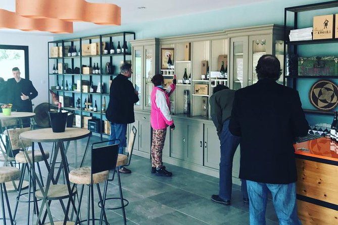 Ronda Private Full Day Wine Tour - Wine Tasting Experience