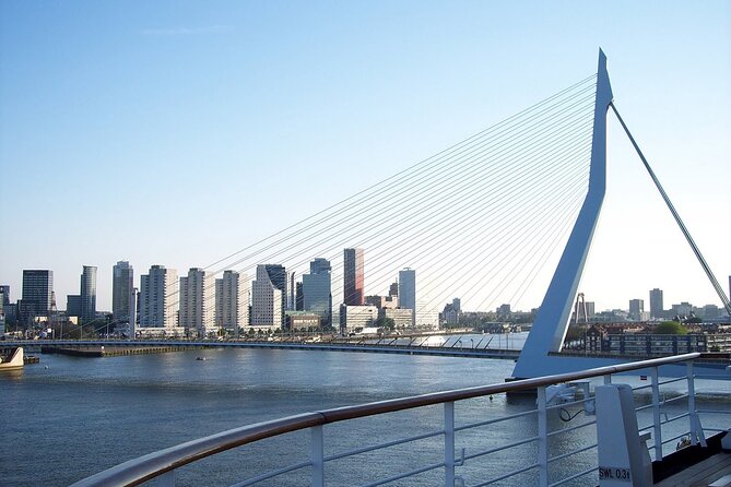 Rotterdam Private Introduction Tour - Tips for Your Visit