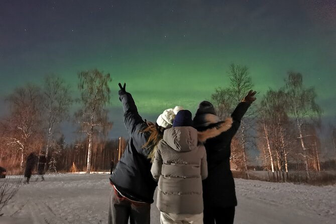 Rovaniemi Northern Lights Small-Group BBQ With Hotel Transfers - Booking and Confirmation