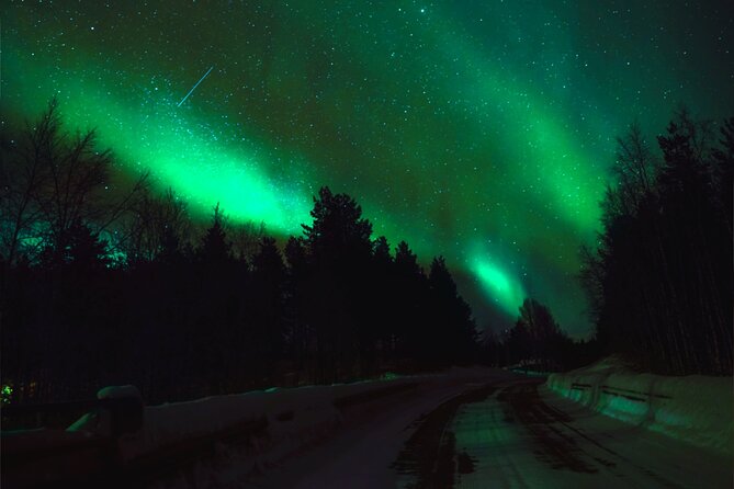 Rovaniemi: Reindeer Evening Safari Tour & 2.5 Km Sled Ride - Important Participant Information