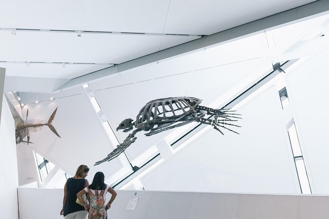 Royal Ontario Museum Admission - Amenities and Services