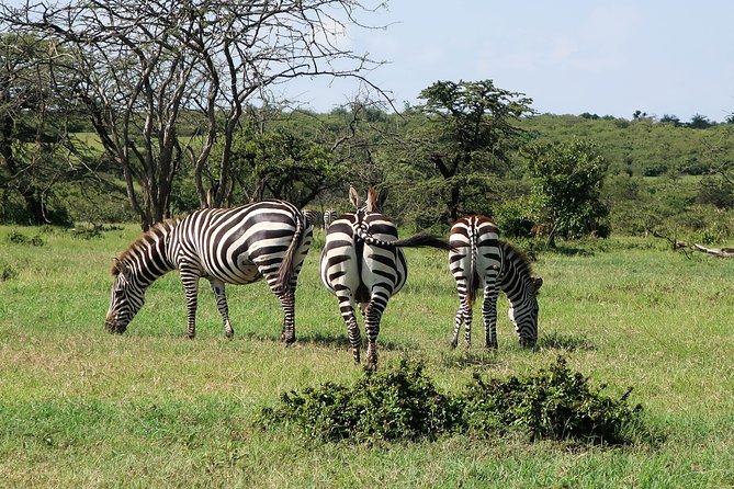 Safari And Beach Vacations - Pricing and Packages