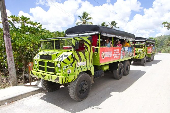 Safari From Punta Cana! - Wildlife Sightings