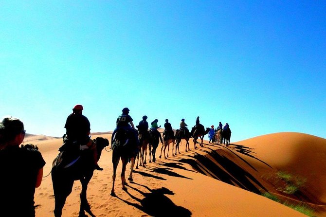 Sahara Adventure in 4 Days - Camel Safari Experience