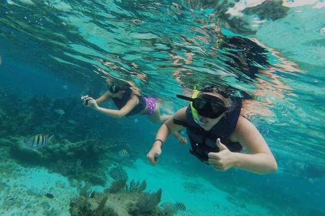 Sailing & Snorkeling Cruise With Freshly Grilled Lunch - Snorkeling Equipment and Transportation