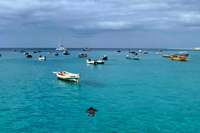 Sal Island: Secrets of Native Guide All-Inclusive Tour With Lunch - Dining Options During the Tour