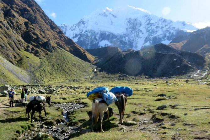 Salkantay Trek To Machu Picchu 5 Days - Pre-Trek Preparation and Requirements