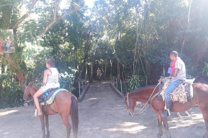 Samana Bay: Bacardi Island and Limon Waterfall - Review Insights