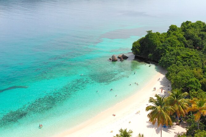 Samana Bay Whale Watching Full Day Tour With Lunch From Punta Cana - Bacardi Island Activities