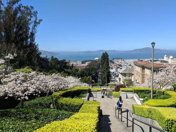 San Francisco Private City Tour - Experience With Tour Guides