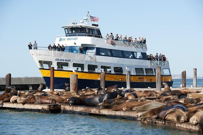 San Francisco Sunset Cruise Review: A Scenic Experience - Final Verdict On This Stay