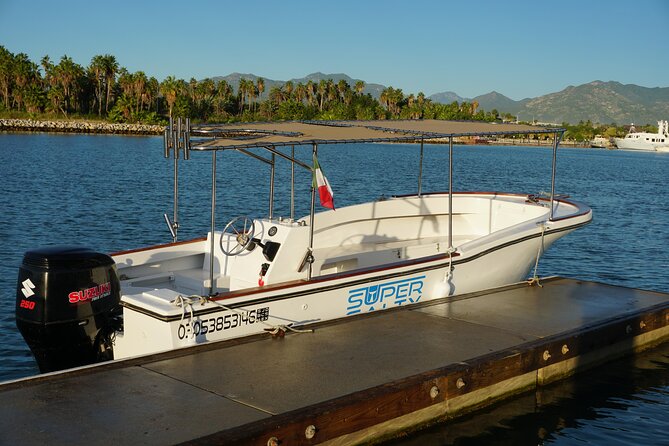 San Jose Del Cabo Small-Group Sunrise Whale Watching - Traveler Reviews and Feedback