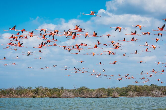 Sanctuary of Flamingos Day Tour - Booking and Cancellation Policy