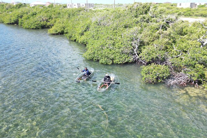 Sand Bar and Mangrove Forest Kayak Tour Grand Turk Island - Exploring the Sand Bar
