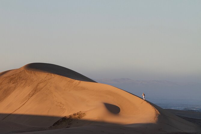 Sandwich Harbour 4x4 Half Day Experience With Beach Braai - Testimonials and Traveler Reviews