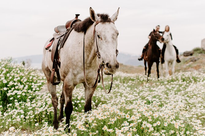 Santorini: Horse Riding on the Caldera Cliff - Experienced Guides Lead the Way