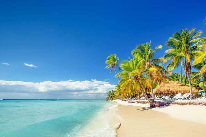 Saona Island and Snorkeling From Punta Cana - Meeting and Pickup