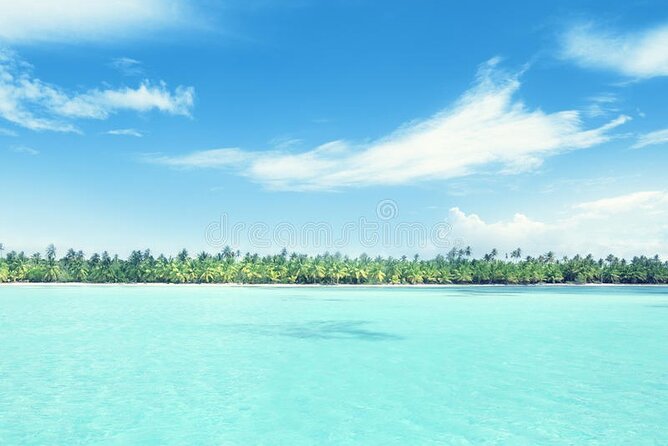 Saona Island Day Trip + Lobsters Included in Cap Cana - Included Amenities