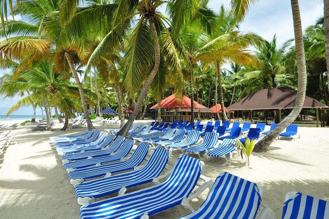 Saona Island Sail Catamaran Tour - Exploring Saona Island