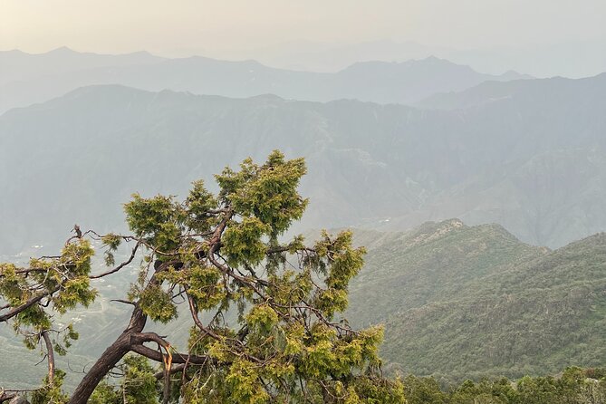 Sawda Mountains Hiking Trail - Reviews and Ratings