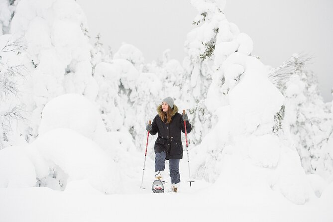 Scenic Snowshoeing on the Top of Pyhä Fell - Since You Asked