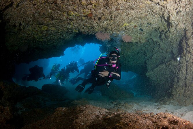 Scuba Diving Arcos or Marietas Vallarta Undersea - Customer Experiences and Reviews