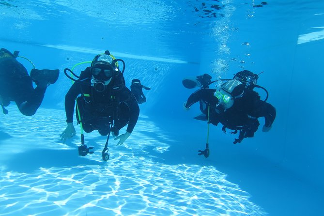 Scuba Diving Courses or Try Diving PADI or SSI - Pricing and Reviews