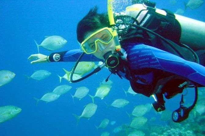 Scuba Diving for Beginners With Lunch in Fethiye - Exploring the Turquoise Coast
