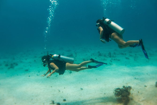 Scuba Diving in Cozumel Island - Private Tour Details