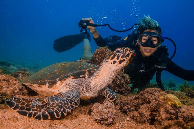 Scuba Diving With a 5-Star PADI Center in Puerto Vallarta - Meeting and Safety Information