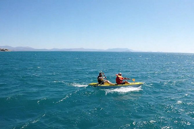Sea Kayak in Astros - Established Company Background