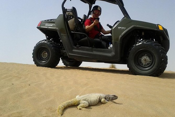 Self-Drive Buggy (Shared Buggy-2 People) or Quad Bike Safari - Safety Briefing and Practice