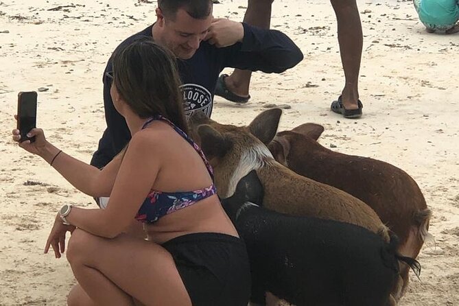 Self Drive Speedboat and Swim With the Pigs - Exciting Speedboat Adventure