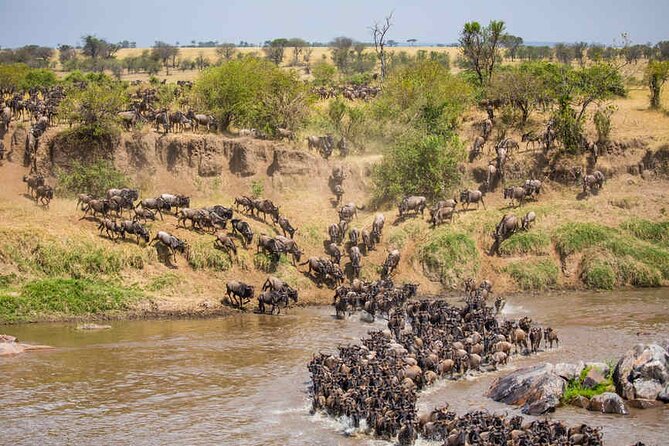 Serengeti Great Wildebeest Migration - 5 Days Tanzania Safari - Booking Information