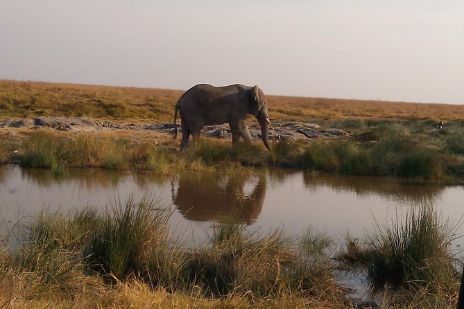Serengeti National Park 7 Days Safaris Camping - Meals and Dining