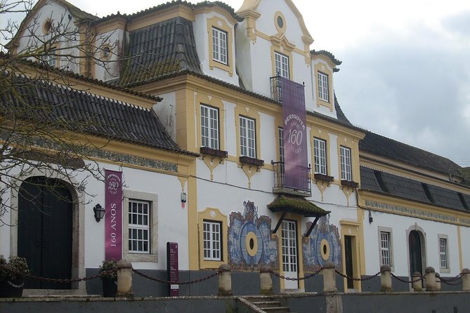 Setubal Winery Private Tour Including Lunch at Sesimbra Beach - Indulge in Seafood Lunch at Sesimbra