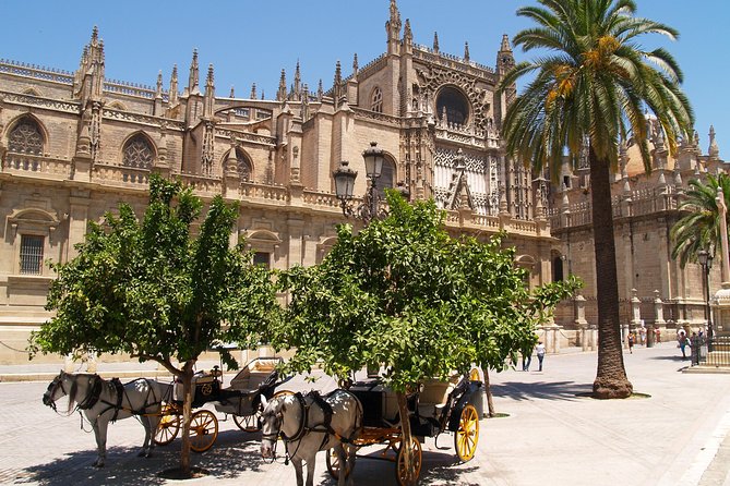 Seville: Cathedral & Giralda Guided Tour With Tickets - Customer Feedback: Negatives