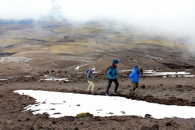Shared Cotopaxi National Park Tour From Quito - Final Verdict On This Stay