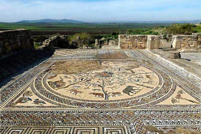 Shared Day Trip From Volubilis, Moulay Idriss and Meknes - Accessibility Options