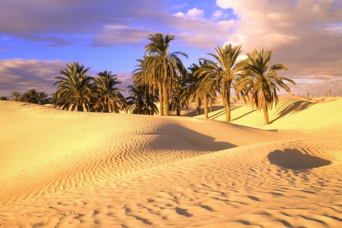 Shared Marrakech To Fes Desert Trip 4 Days 3 Nights - Pickup and Meeting Details