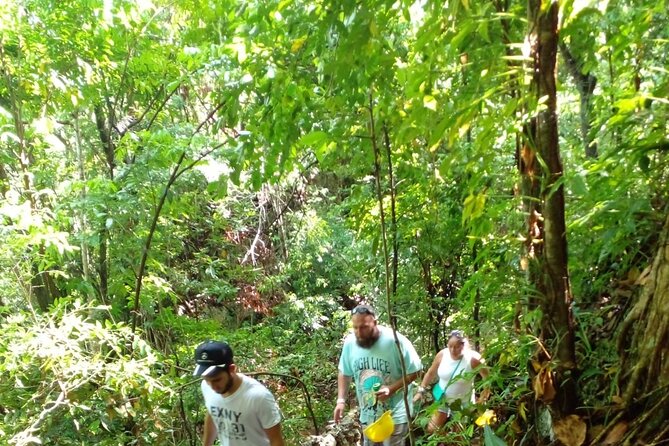 Shore Excursion - Cabarete Cave National Park Excursion - Frequently Asked Questions