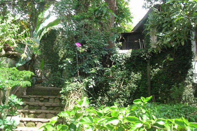 Shore Excursion From Acajutla Coffee and Flowers Route - Discovering Vibrant Villages