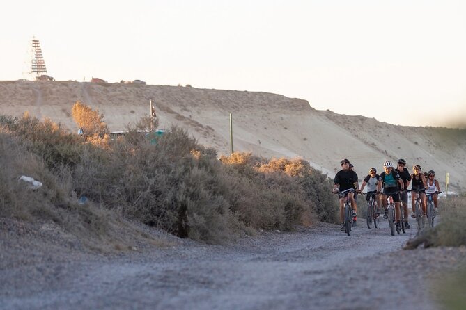Shore Excursion Punta Cuevas Bike & Adventure - Puerto Madryn - Inclusions and Pricing