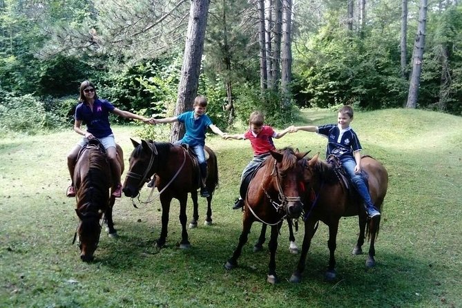 Short Horseback Riding - Kolasin - Booking and Confirmation